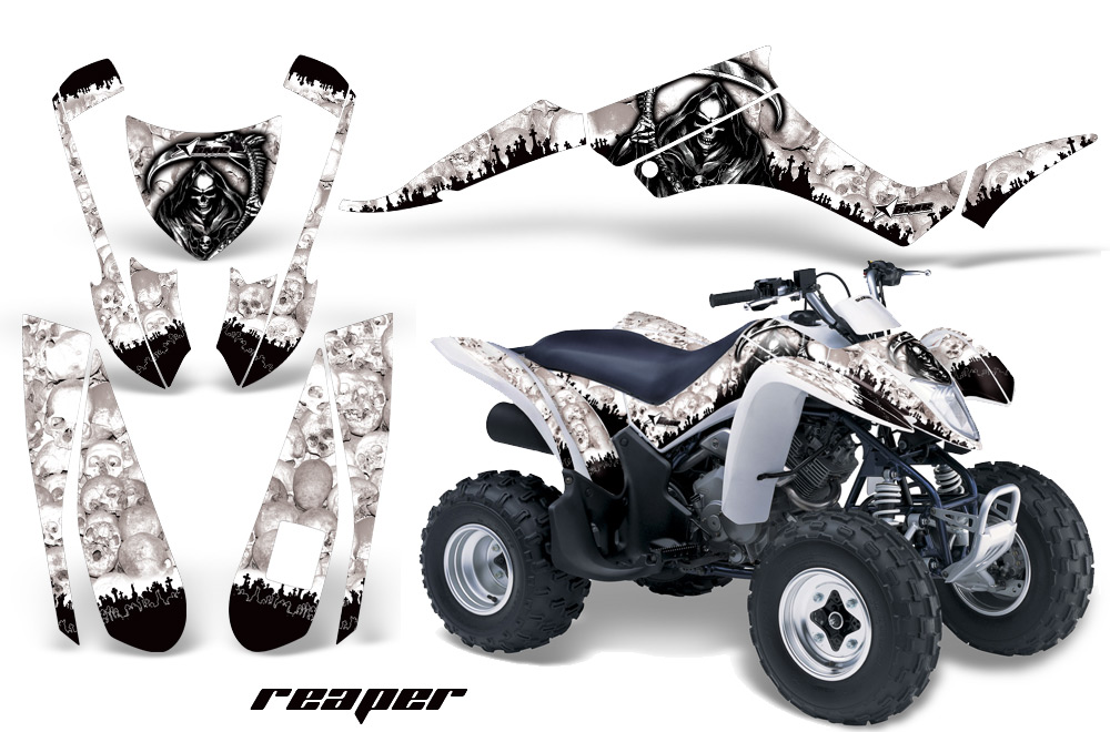 Suzuki LTZ250 Graphics Kit R W